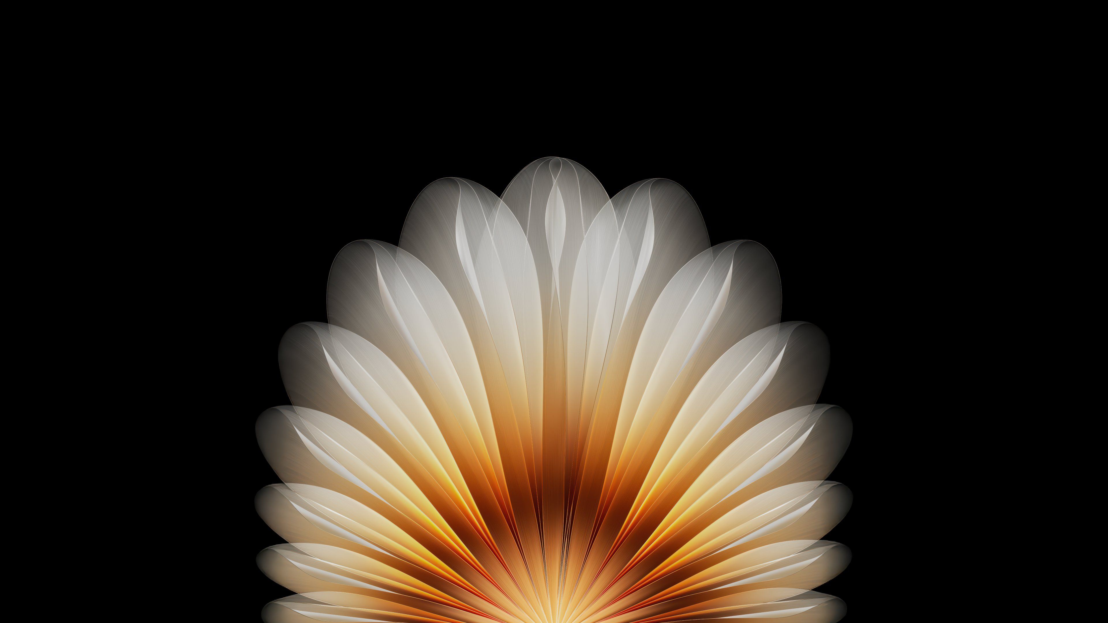 Luminous Abstract Floral Golden Petals Wallpaper