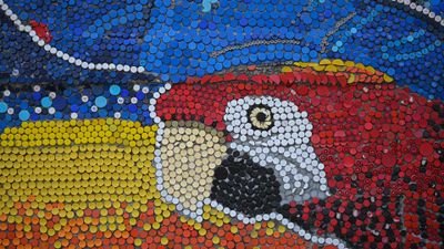 Oscar Olivares' Vibrant Guatire Bottle Cap Parrot Wallpaper