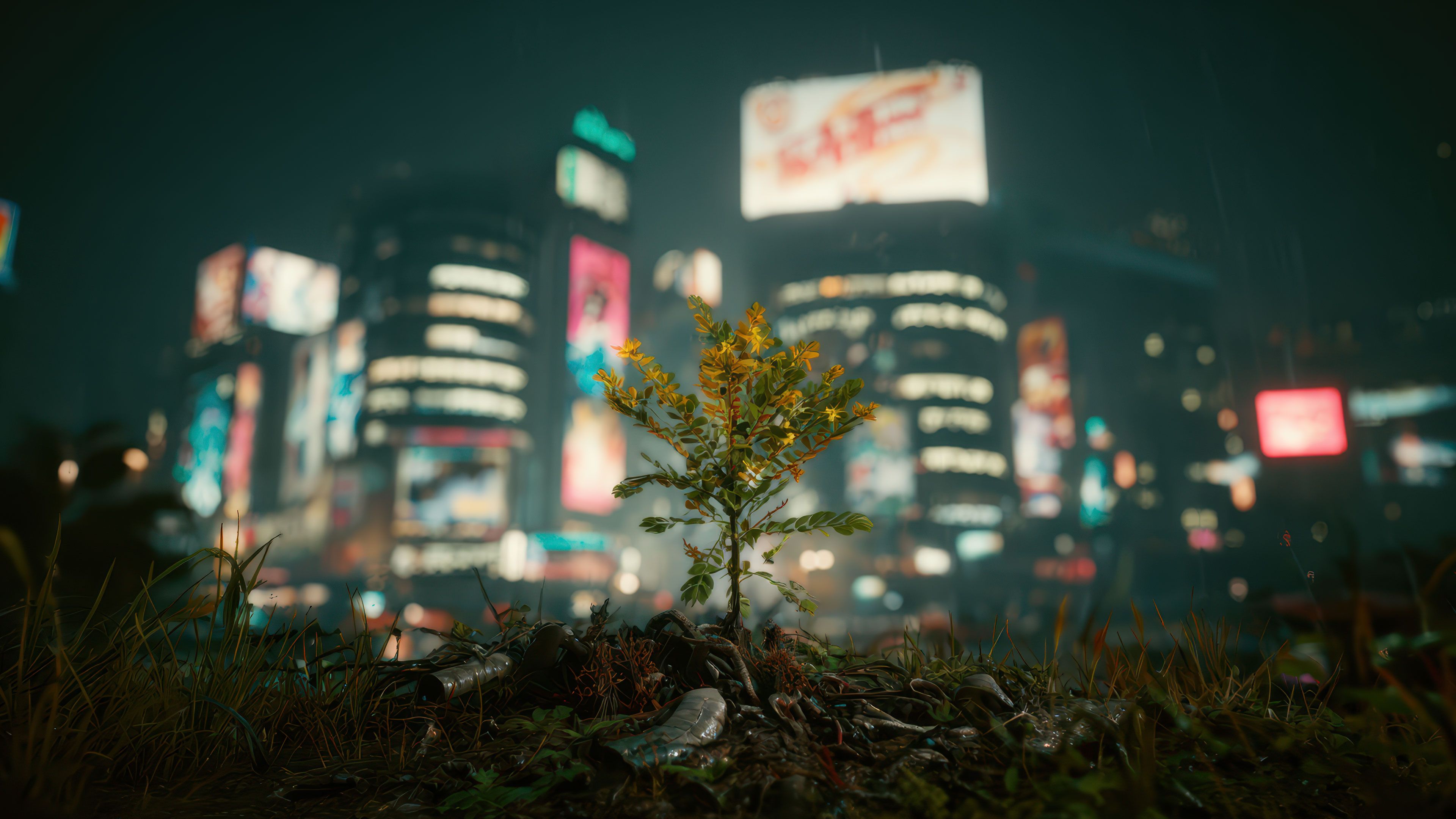 Cyberpunk Night City Rain Plant Wallpaper