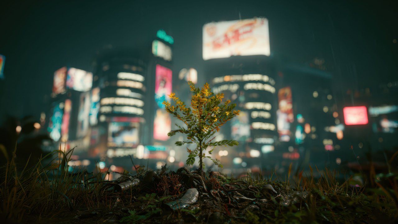 Cyberpunk Night City Rain Plant Wallpaper
