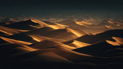 Endless waves of sunlit desert sand