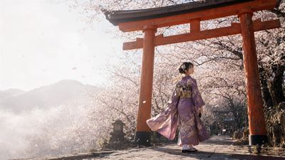 Sakura at the Torii Gate: A Spring Breeze