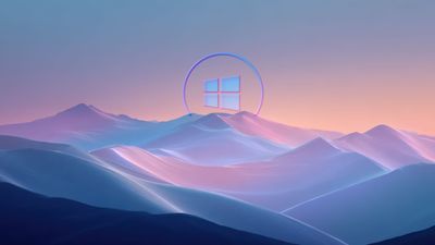 pink windows