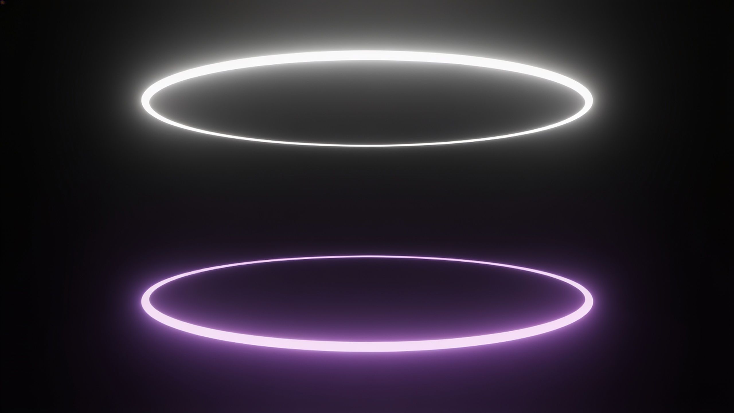 A digital wallpaper featuring two glowing neon rings, one white and one purple, set against a dark background, creating a futuristic and sleek atmosphere. The rings appear to be floating, adding a sense of depth and mystery to the scene.