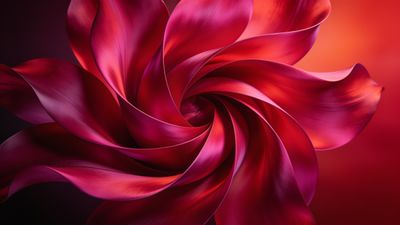 A dynamic swirl of vibrant red petals creates an abstract floral pattern, set against a rich gradient background that transitions from deep burgundy to bright orange, evoking a sense of energy and movement.