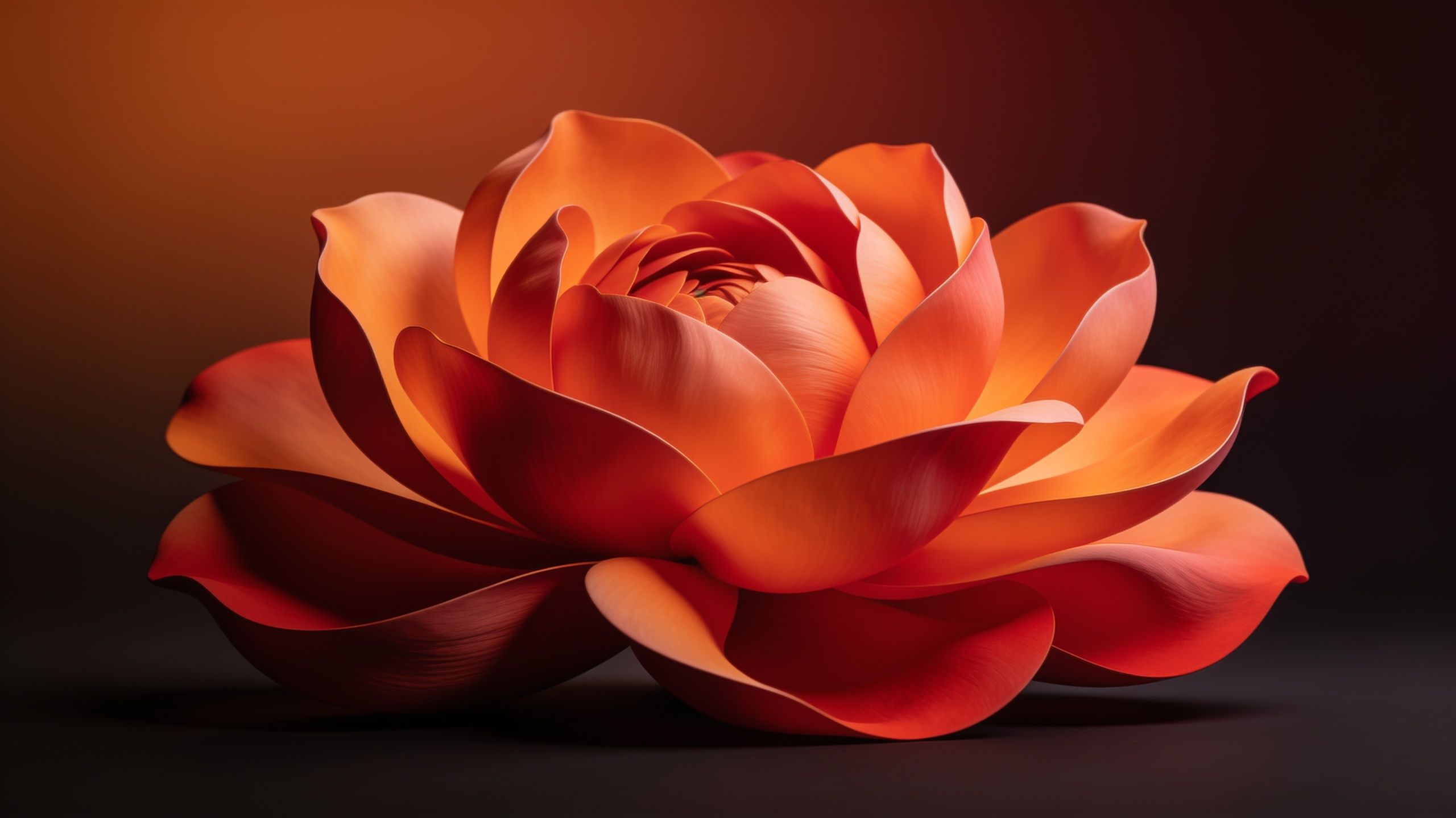A vibrant orange lotus blossom with delicately layered petals is set against a dark, blurred background, creating a serene and captivating mood.
