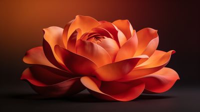 A vibrant orange lotus blossom with delicately layered petals is set against a dark, blurred background, creating a serene and captivating mood.