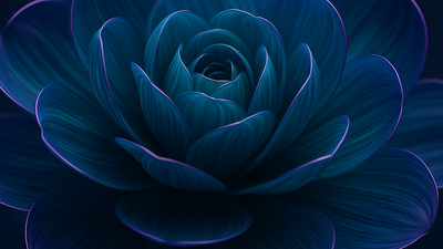 Macro 4K HD wallpaper of a midnight-blue rose in full bloom, its velvety petals edged with faint violet light against a deep, shadowy backdrop. The rich cool tones and soft glow create a calm, mysterious, and elegant mood.