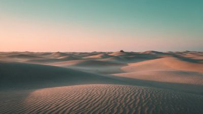 Soft morning light washes over rolling Sahara Desert dunes under a pastel peach-to-turquoise sky, creating a serene, expansive landscape.