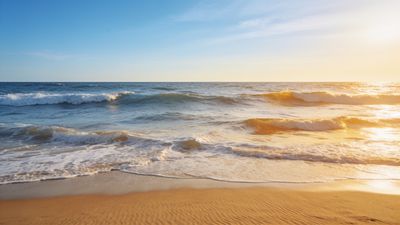 A serene beach scene at sunset features gentle waves rolling onto the shore, illuminated by the golden hues of the setting sun, creating a tranquil and warm atmosphere.